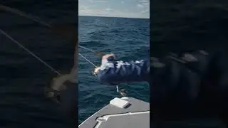 PENN Ocean Assassin II