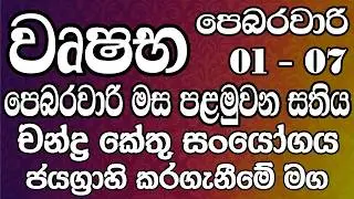 වෘෂභ ලග්නයෙන් උපන් ඔබට පෙබරවාරි මස පළමුවන සතිය ජයගැනීමට මග - Taurus