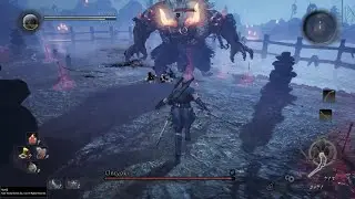 Nioh PS4 PRO Beat Onryoki Boss (No Damage) #2