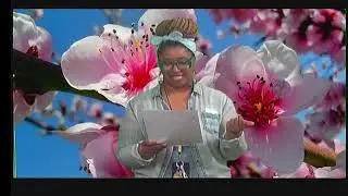 College Park Live Stream