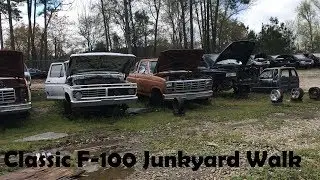 Классический Ford F-100 на свалке