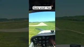 Cessna 172 Landing in Wind Gusts | Rate The Landing ✅