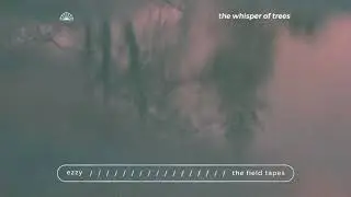 The Field Tapes & Ezzy - the whisper of trees [Official Audio]