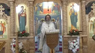 Sinodul din Creta și ecumenismul din Biserică nu sunt o întâmplare, un accident, ci un efect, un rod