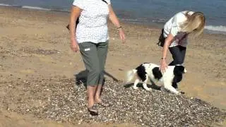 Gorleston Beach