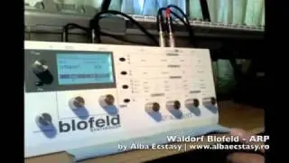 Waldorf Blofeld - ARP (1) by Alba Ecstasy