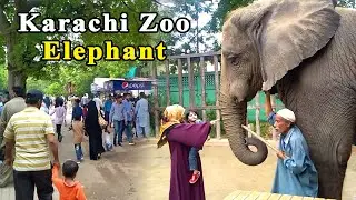 Karachi Zoo Elephant | Family Picnic Point | Garden Zoo Karachi 2022 | SAB Real