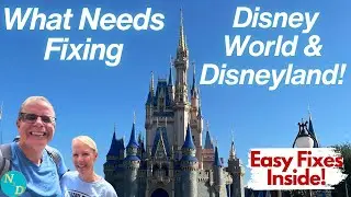 Struggles at Disney World & Disneyland: Mobility, Scooter Rentals, DAS & How to Fix Them