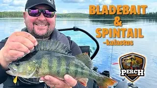 Kes&auml;kalastuksen tehovieheet - spintail ja bladebait | Perch Academy, osa 1