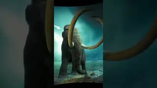 5.500 bce animals