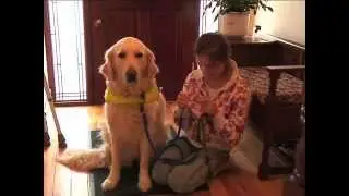 Irish Dogs for the Disabled - Information Video