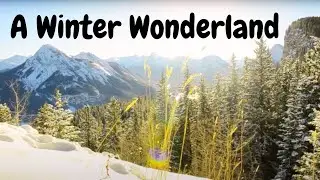 Yates Mountain, Alberta Canada - Adventure #2