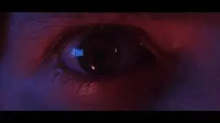 The last strawberry - Apocalypse, Experimental Art Video