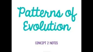 Unit 6 Evolution Concept 2 Notes *UPDATED*