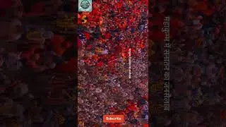 &ldquo;Mahakumbh 2025: The Epic Jan Sailab and the Power of Sanatan Dharma&rdquo;#mahakumbh2025