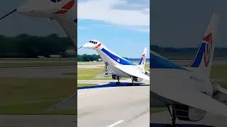 #aircraft #alligatorsnappingturtle #airplane #automobile #system #supersonic #aviation