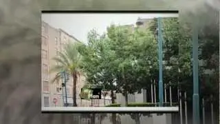 Orlando - Public Library  - Youtube