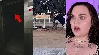 The SCARIEST Videos on TikTok are Trending RN... Wanna Watch? Scream Stream *LIVE*