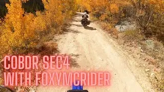 Start of COBDR section 4 with FoxyMCRider
