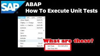 SAP: How To Execute Unit Tests for ABAP Objects