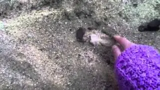 Science ep. 4 - Sand throwing!!