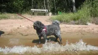 Sommarbad