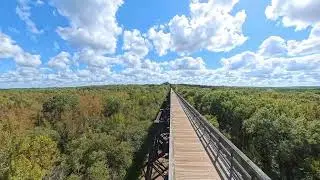 High Bridge 6 Oct