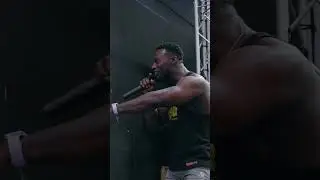 FIBO 2025: Day 2 Highlights ⚡