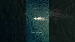 Slow Boat, Fast Beat
