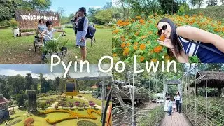 Pyin Oo Lwin: The City of Flowers 🌸ပြင်ဦးလွင်မှာ ဘယ်တွေလည်ကြမလဲ?