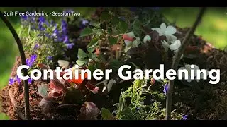 Guilt Free Gardening - Session Two