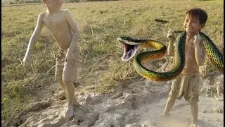 Wow!! Snake Catchers Amazing Boy and Children Catch Water Snake  By Hand In My Village