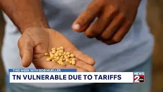 This Week with Bob Mueller: Trump&rsquo;s tariffs negative impacts on TN farmers