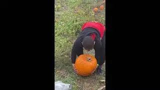 Pumpkin Patch w/ KIW The Newsomes