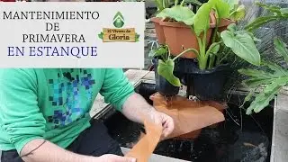 limpieza de primavera en el estanque