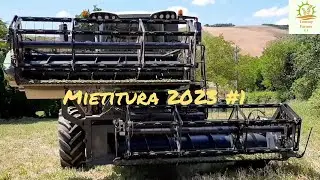 Fendt 5275CSL harvester | mietutura cavolo broccolo con Fendt 5275CSL | Az Cancellieri |