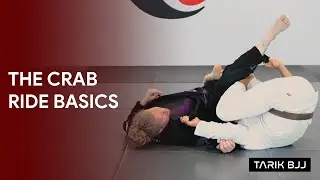 Crab Ride Basics