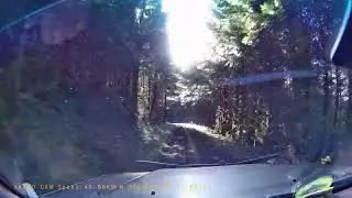Tour de Forest Rally 20204 - Stage 4 - To the Towers 2 - Ride with Sweep