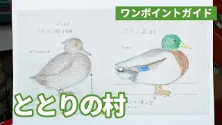 ワンポイントガイド(ととりの村)