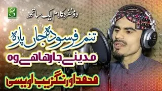 Heart touching naat | Muhammad Aurangzaib Owaisi | madinay ja raha hay wo | Special Hajj Naat/Kalam