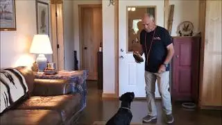 Door Etiquette With Watermarks Shadow and Bill Hillmann