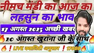 Neemuch mandi aaj ka Lahsun ka bhav, Today Garlic Rate, Fresh Garlic Rate, Neemuch Mandsaur mandi