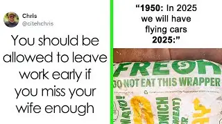 The Best Tweets That Cracked People Up This June
