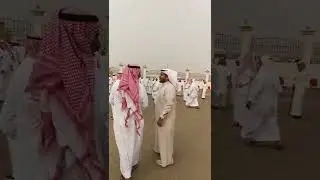 عصريه قاعه السلام سعيد طفيان