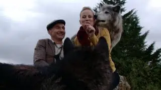 ⭐️ Sophie Nollevaux ⭐️ Les animaux au cinéma