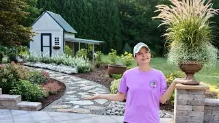 Late Summer Patio Update | Severe Pruning Involved | Gardening with Creekside