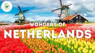 You Won't Believe The TOP 8 CITIES I Discovered In NETHERLANDS