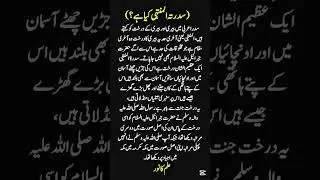 Sidratul Muntha kia hay |best islamic history books in urdu