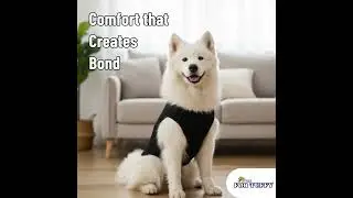 For Tuffy Dog Onesie | Best Dog Clothes & Dog Winter Clothes to Keep Your Pup Stylish| dog apparel