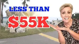 ISLAND LIVING DREAM: Homes for $50,000 &ndash; Your Affordable PARADISE Awaits!